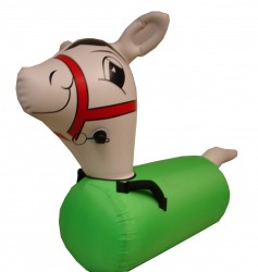 (2) Pony Hops Teens & Adults