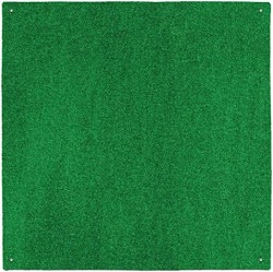 Astro Turf 8' x 20'